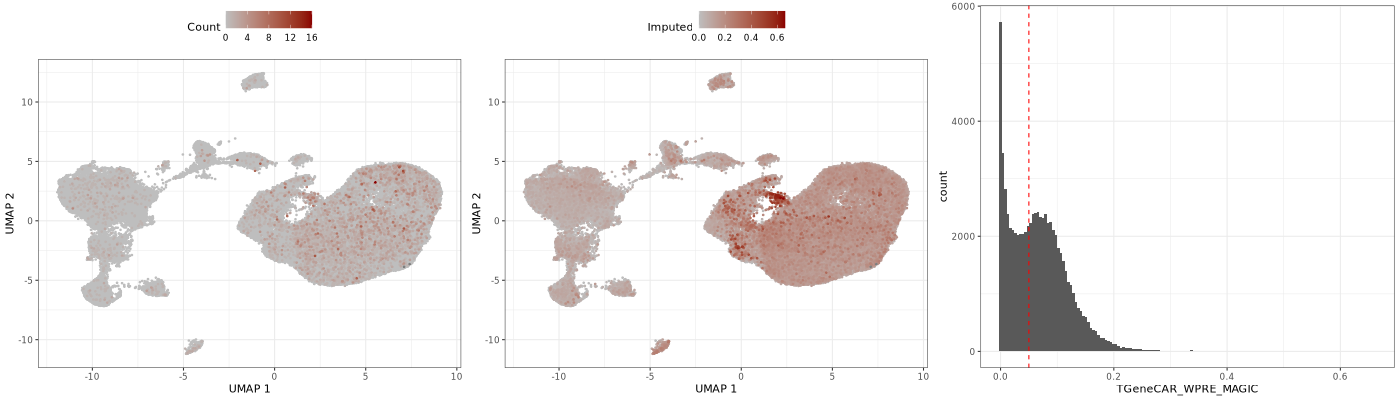 WPRE_mapping/MAGIC_imputation.png