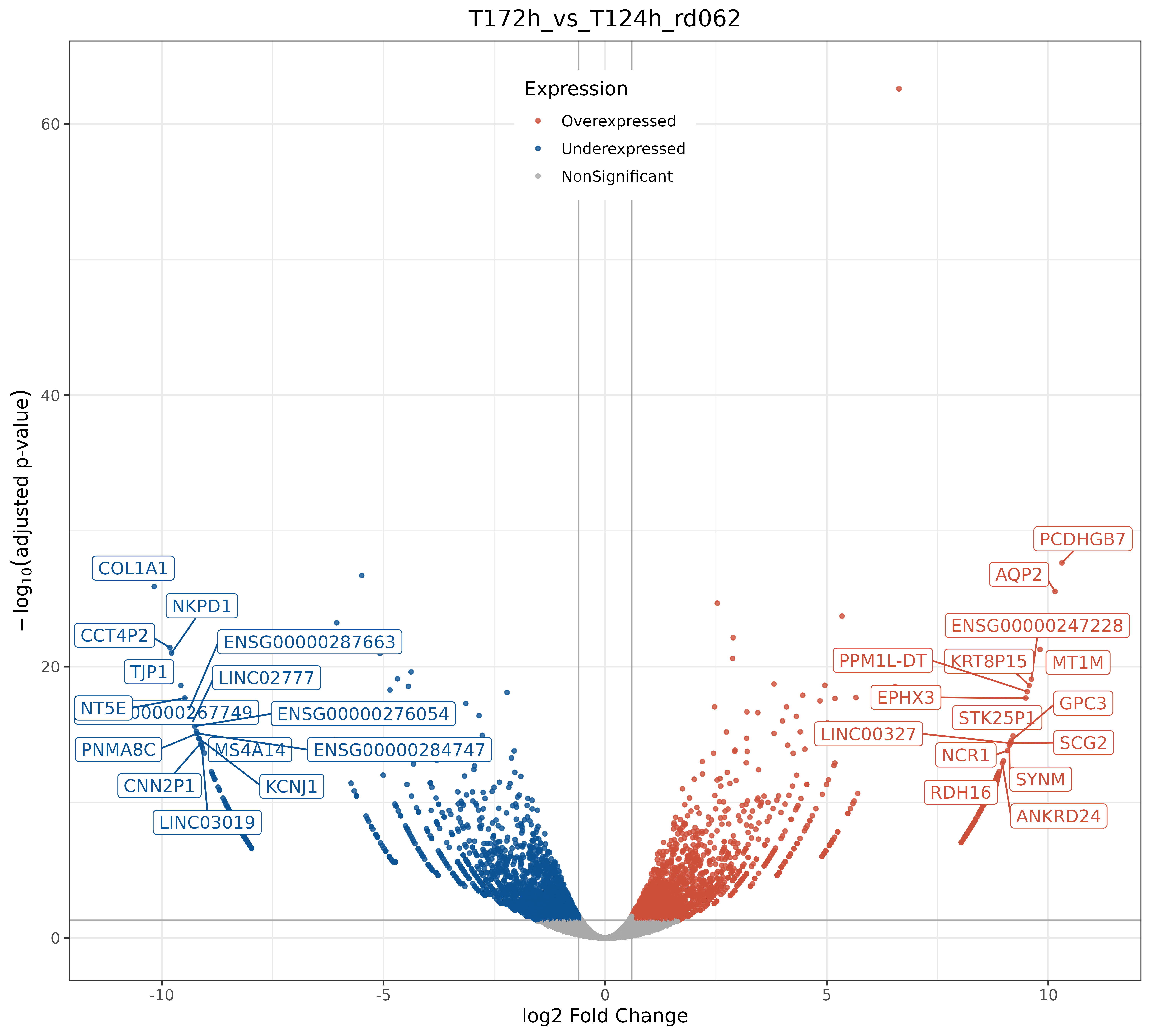 DGE/T172h_vs_T124h_rd062/volcano/T172h_vs_T124h_rd062-volcano.png